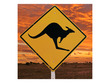 Aussie Outback Poster Background  for Aquarium Terrarium Vivarium
