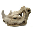 Rhino Skull 16cm