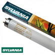 Sylvania Reptistar Terrarium Reptile T8 Light Tube 15watt