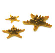 biOrb Sea Star Set 3 Yellow