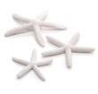 biOrb Starfish Set 3 White